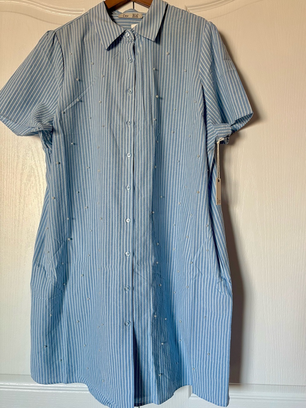 Dex Blue and White Striped Button-Front Shirt Dress